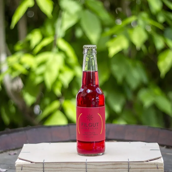 kombucha filgut red fruits eco